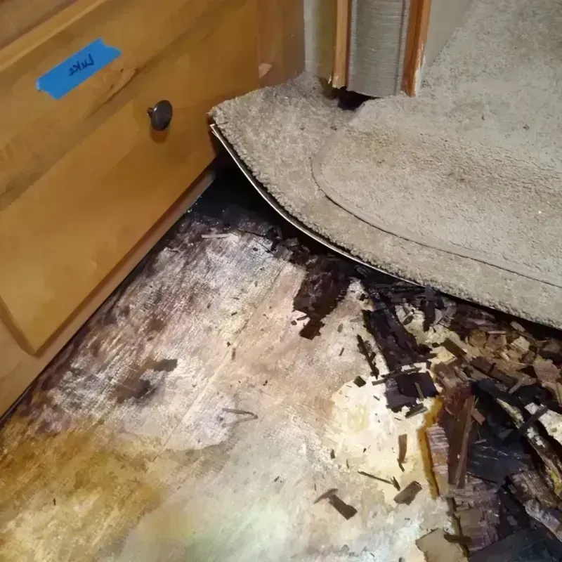 Best Wood Floor Water Damage Service in Boca Pointe, FL